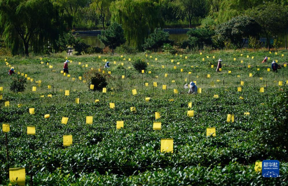 捕鱼达人3d电脑版下载官网
